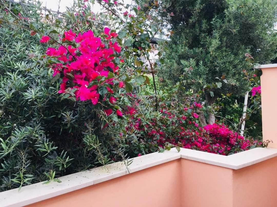 B & B Jasmine 圣泰雷萨迪里瓦 外观 照片